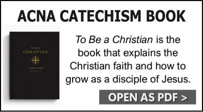 ACNA-Catechism-button