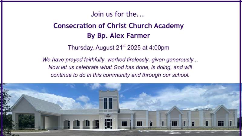 CCVB-Announcements & Banners (2)