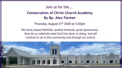 CCVB-Announcements & Banners