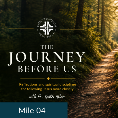 Beauty Along the Journey